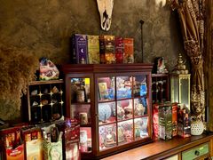 -雪灵魔法世界SHELLY’S TAROT(大良桂畔里店)