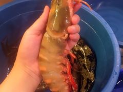 -真浪花园海鲜餐馆