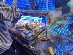 -五月罗马海鲜烤肉自助餐厅(印象城店)
