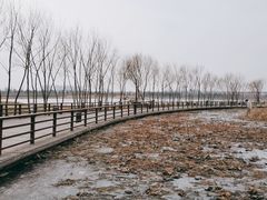 -绿堤公园