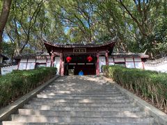 -上海佘山国家森林公园天马山园