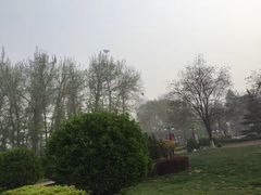 -洪家楼教堂
