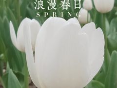 -院士公园