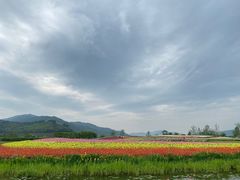 -径山花海