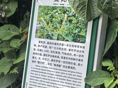 -野象谷景区