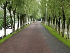 -艾溪湖湿地公园