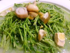 上汤豆苗-广东道至正餐厅(区庄店)