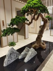 点击看大图 -HQ半永久纹绣纹眉