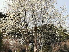 -国家植物园南园