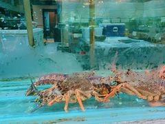-海逸海鲜酒家(古北店)