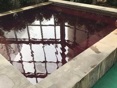 -仁爱团泊湖温泉中心