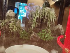 -小龙翻大江文化火锅(宽窄店)