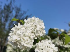 -白塘生态植物园