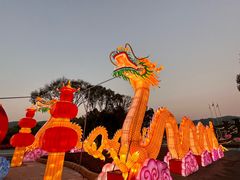 -东南花都花博园