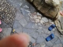 -金孔雀温泉旅游度假村