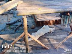 -广州长隆野生动物世界