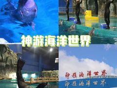-威海华夏城景区