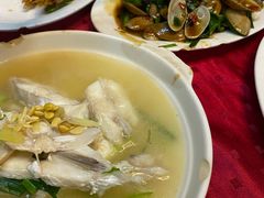 豆酱煮扒皮鱼-蛇口康乐快餐鱼仔档(翠苑小区店)