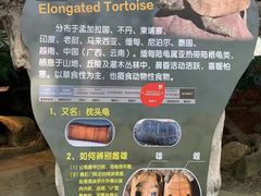 -广州长隆飞鸟乐园
