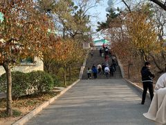 -青岛中山公园-索道售票处