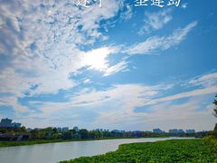 -莲花岛景区
