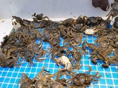 -集品鲜湾·蒸汽海鲜自助料理(青岛银座和谐广场店)
