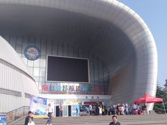 -烟台海昌鲸鲨海洋公园