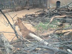 -昆明动物园