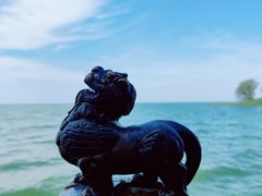 -微山湖红荷湿地景区