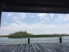 -太湖湖滨国家湿地公园-停车场