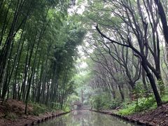 -同里国家湿地公园