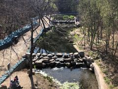 -白水寺森林公园