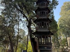 -兴教寺