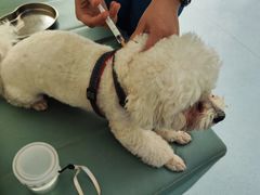 -佳怡动物医院·平价24小时·猫专科骨外科