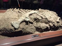 -世界恐龙谷景区