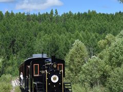 -莫尔道嘎国家森林公园