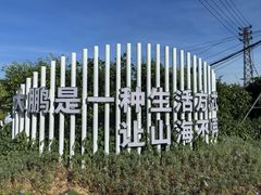 -西涌国际滨海旅游区