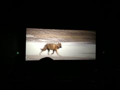 -博纳国际影城IMAX(中央大道店)