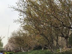 -元大都城垣遗址公园