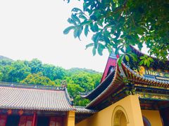 -普陀山慧济禅寺