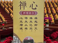 -龙口南山旅游景区