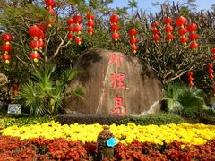 -野狸岛