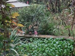 -谷咖啡·鲜花绿植花园餐厅