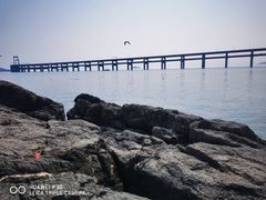 -黑石礁公园