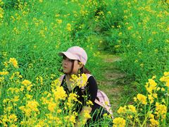 -光明小镇欢乐田园