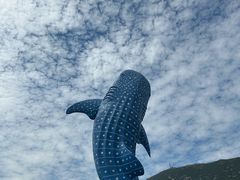 -珠海长隆海洋王国