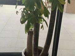 -张钰强中医正骨推拿连锁(唐家人才公寓店)