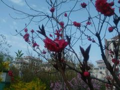 -中国海洋大学（崂山校区）-游泳馆