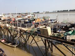 iphone_upload_pic-大湾区中央湿地公园-十九涌