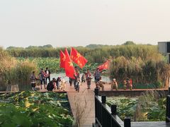 -洪湖生态旅游区